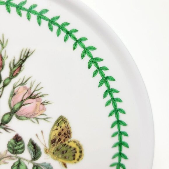 Portmeirion Botanic Garden Melamine 6" Round Tea Tile Trivet Dog Rose Flower Bee - Picture 4 of 10